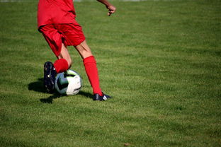 九游电脑版-中国足球职业俱乐部推动管理层岗位轮训制度，职业足球俱乐部训练计划